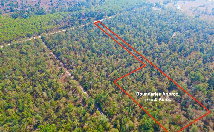 Pictures of Land property located at Vac SE Kachina Ave, Lee, FL 32059 for sales - image #1