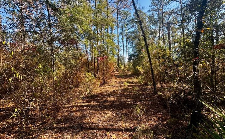 Pictures of Land property located at Vacant NE Timber River Loop, Lee, FL 32059 for sales - image #1
