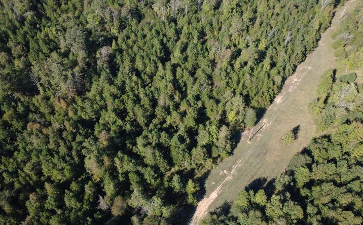 Pictures of Land property located at 000 No Pone Valley Road, Georgetown, TN 37336 for sales - image #1