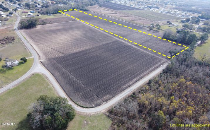 Pictures of Land property located at Tbd Wilfred Champagne Road, Saint Martinville, LA 70582 for sales - image #1