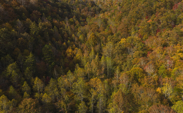 Pictures of Land property located at 0 Livesay Chapel Road, Kyles Ford, TN 37765 for sales - image #1