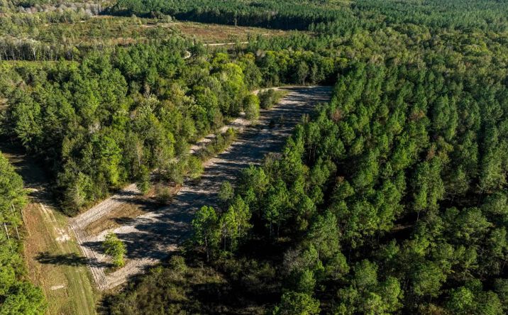 Pictures of Land property located at Off of Old Savannah Rd, Perkins, GA 30442 for sales - image #1