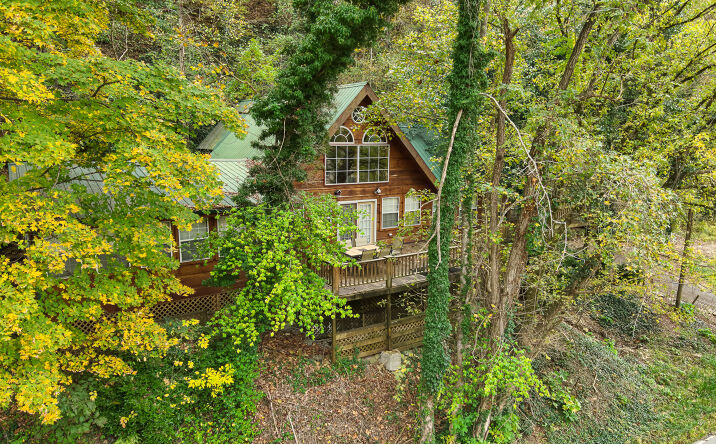 Pictures of Hospitality property located at 1740 Cherohala Skyway, Tellico Plains, TN 37385 for sales - image #1