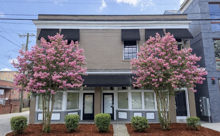 Pictures of Mixed Use, Multifamily, Retail property located at 1014 Abercorn St, Savannah, GA 31401 for sales - image #1