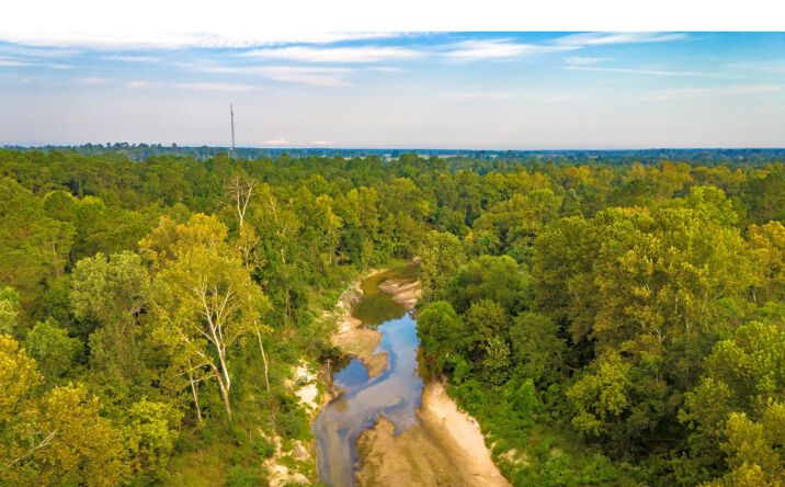 Pictures of Land property located at Garner Rd, Goodrich, TX 77335 for sales - image #1