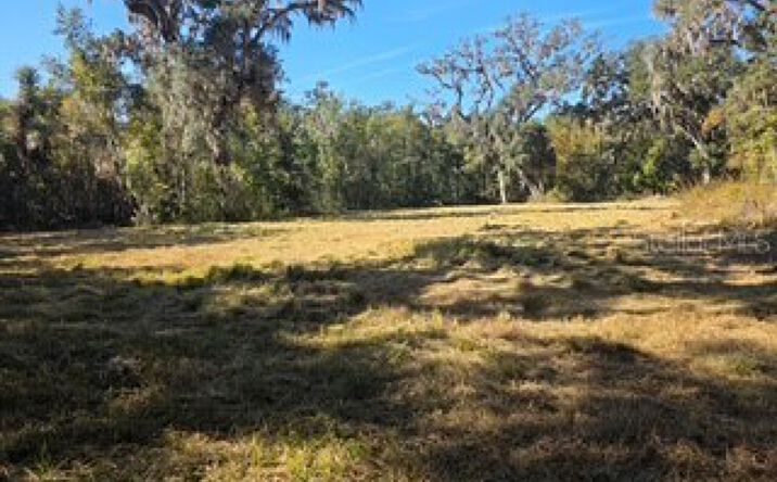 Pictures of Land property located at Swimming Hole Lane, Brooksville, FL 34601 for sales - image #1