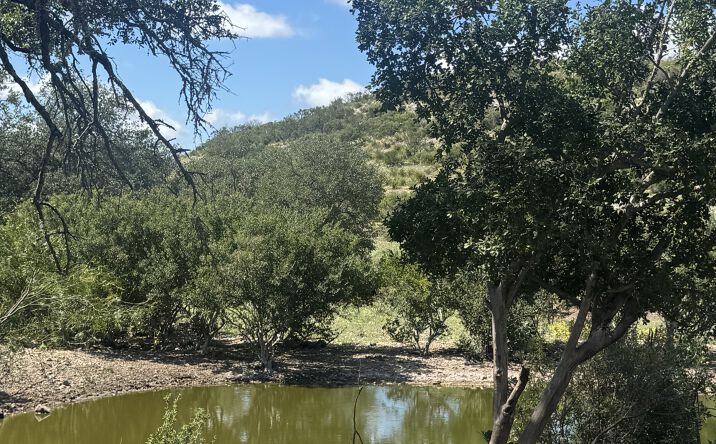 Pictures of Land property located at County Road 450, Rocksprings, TX 78880 for sales - image #1