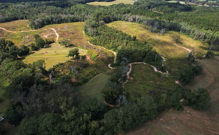 Pictures of Land property located at 2085 County Rd 3341, Brundidge, AL 36010 for sales - image #1