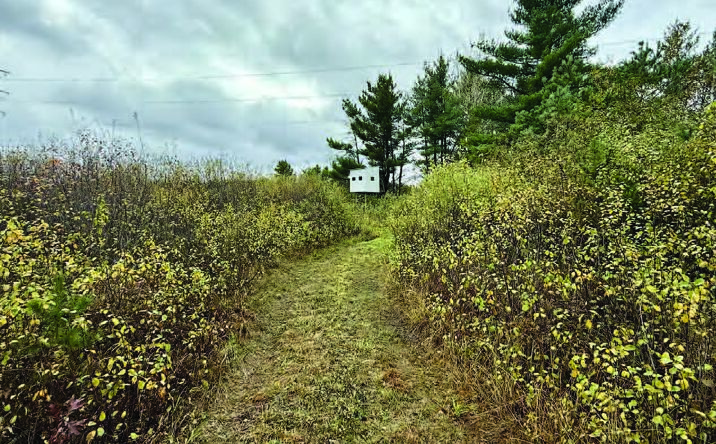 Pictures of Land property located at Julianna Rd, Black River Falls, WI 54615 for sales - image #1