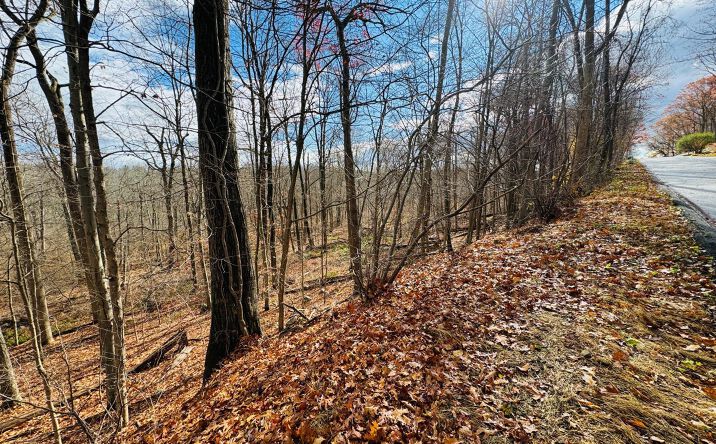 Pictures of Land property located at lot 10 Shamrock Drive, Putnam Valley, NY 10579 for sales - image #1