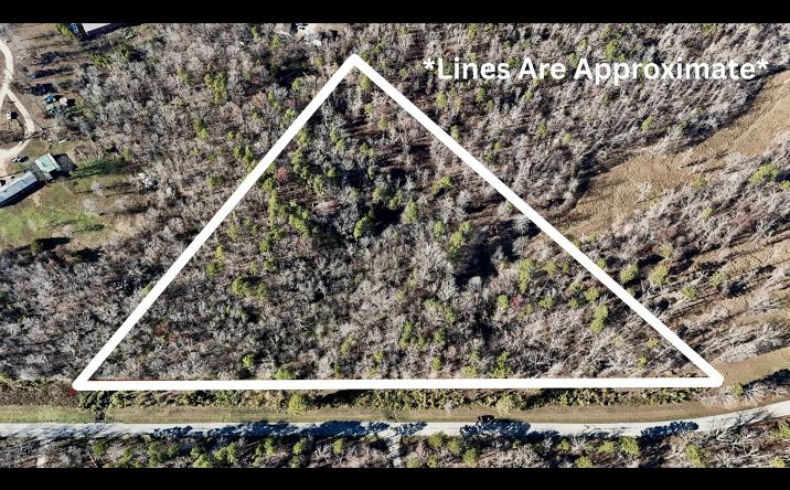 Pictures of Land property located at State Highway O, Grandin, MO 63943 for sales - image #1