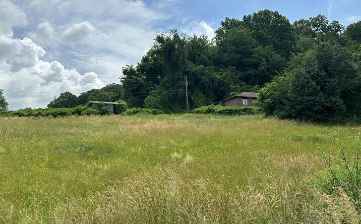 Pictures of Mixed Use, Hospitality, Special Purpose property located at 28226 Hillman Highway, Meadowview, VA 24361 for sales - image #1