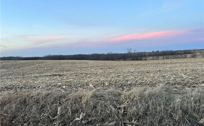 Pictures of Land, Special Purpose property located at 112th Street, Winston, MO 64689 for sales - image #1