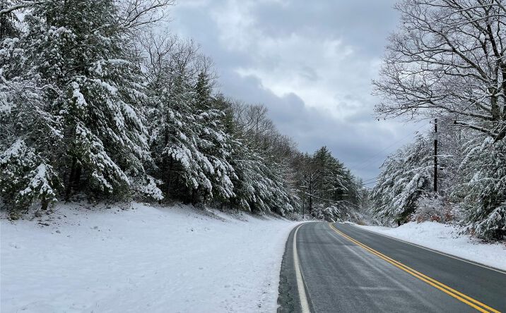 Pictures of Land property located at 1315 Sackett Lake Rd, Forestburgh, NY 12777 for sales - image #1