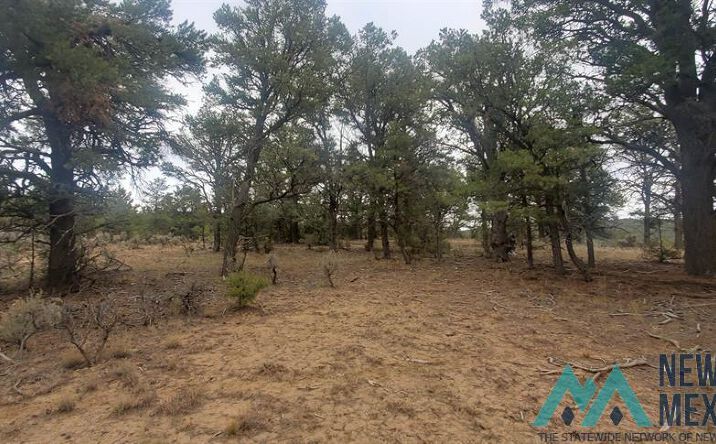 Pictures of Land, Special Purpose property located at Cr 322 Drive, Los Ojos, NM 87551 for sales - image #1