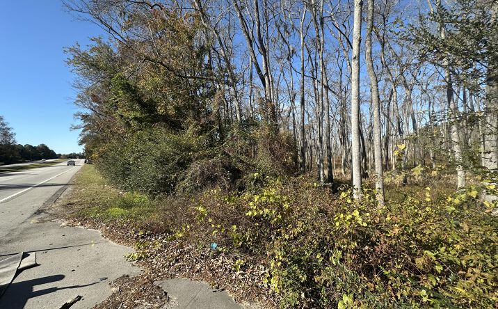 Pictures of Land, Multifamily property located at Five Chop Road, Elloree, SC 29047 for sales - image #1