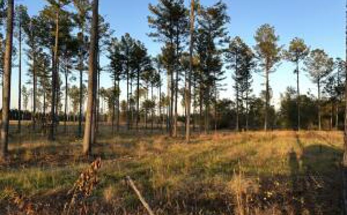 Pictures of Land property located at 00/Lot 49 Snipes Pond Road, Aiken, SC 29805 for sales - image #1