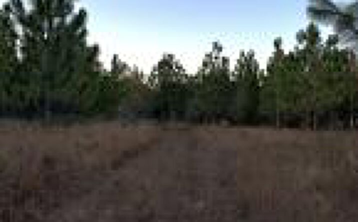 Pictures of Land property located at /Lot 36 Ranchero Road, Aiken, SC 29805 for sales - image #1