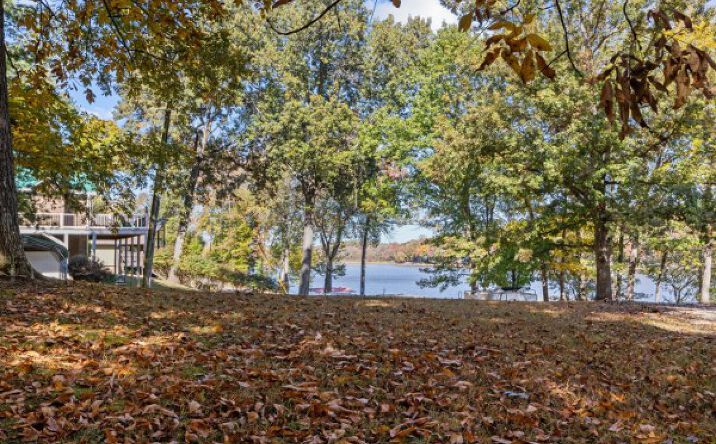 Pictures of Land property located at 0 Stirling Rd, Camden, TN 38320 for sales - image #1