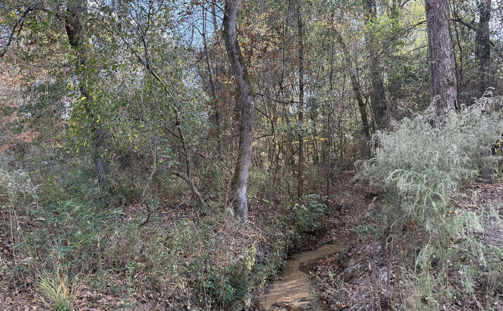 Pictures of Land property located at Robinson Rd, Ellaville, GA 31806 for sales - image #1