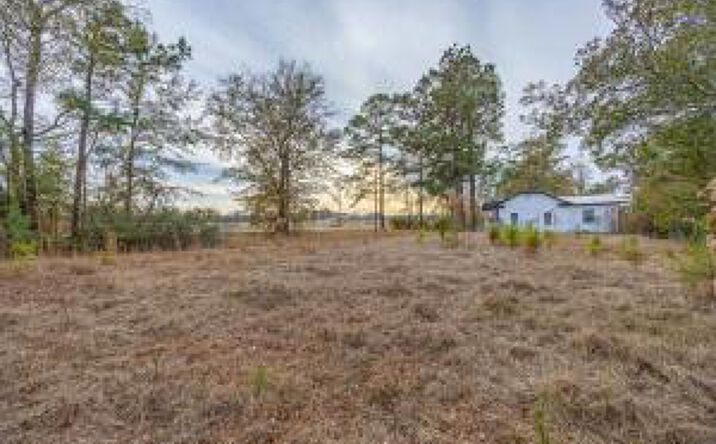 Pictures of Land property located at 0 Floyd Page Road, Galivants Ferry, SC 29544 for sales - image #1