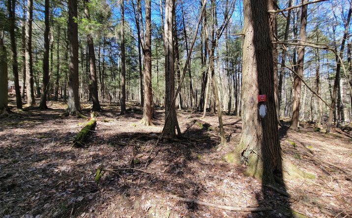 Pictures of Land property located at Lot 1 Bugling Bull Ln., Benezette, PA 15821 for sales - image #1