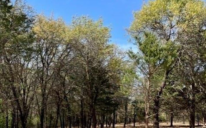 Pictures of Land property located at 057 Blackjack Pwy, Nocona, TX 76255 for sales - image #1