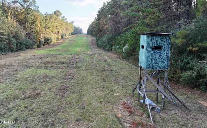 Pictures of Land property located at Aunt Margies Road, 50537, LA 70441 for sales - image #1
