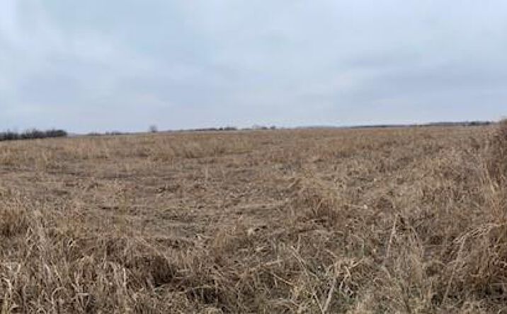 Pictures of Land property located at CR 5000 Road, Elk City, KS 67344 for sales - image #1