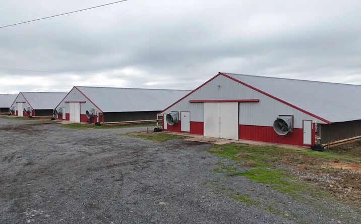 Pictures of Land property located at 259 Storey Road, 52051, LA 71275 for sales - image #1