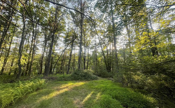 Pictures of Land property located at Loch Ada Road, Lumberland, NY 12737 for sales - image #1