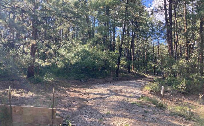 Pictures of Land property located at TBD Serenity Drive, Chama, NM 87520 for sales - image #1