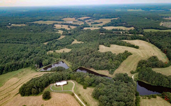 Pictures of Land property located at 1715 Allsboro Road, Cherokee, AL 35616 for sales - image #1