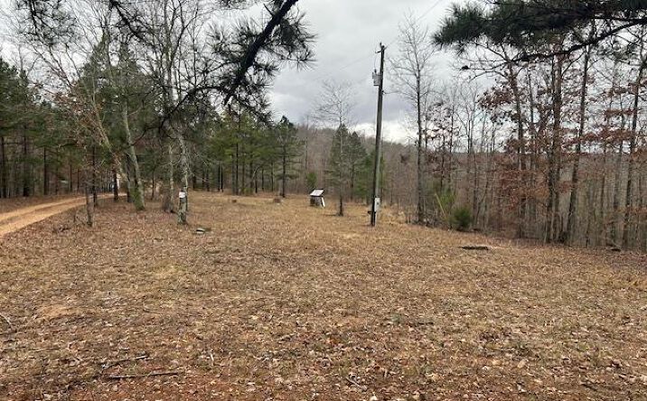 Pictures of Land property located at 1210 Hidden Vly Lks, Annapolis, MO 63620 for sales - image #1