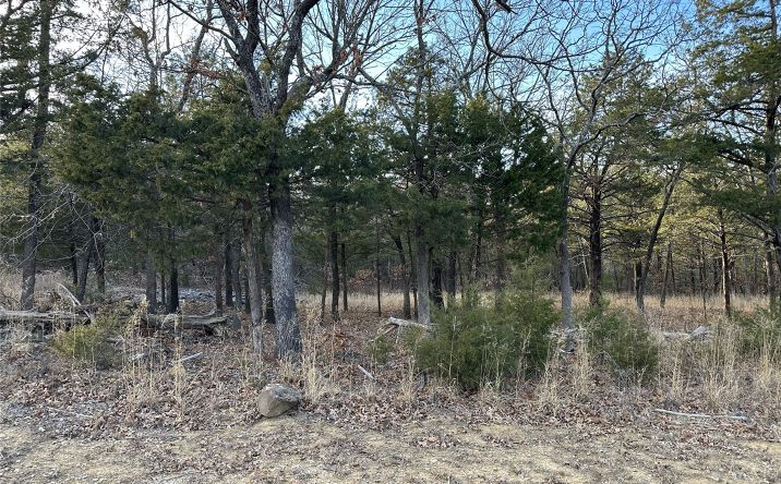 Pictures of Land property located at 18 Sleepy Hollow Circle, Cleveland, OK 74020 for sales - image #1
