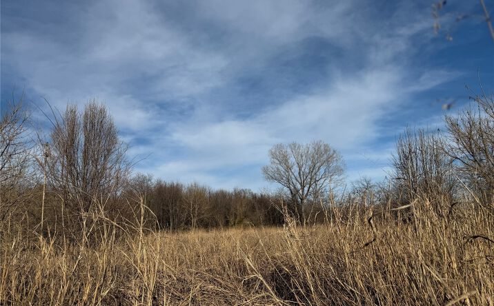 Pictures of Land property located at S 33rd West Avenue, Tulsa, OK 74132 for sales - image #1