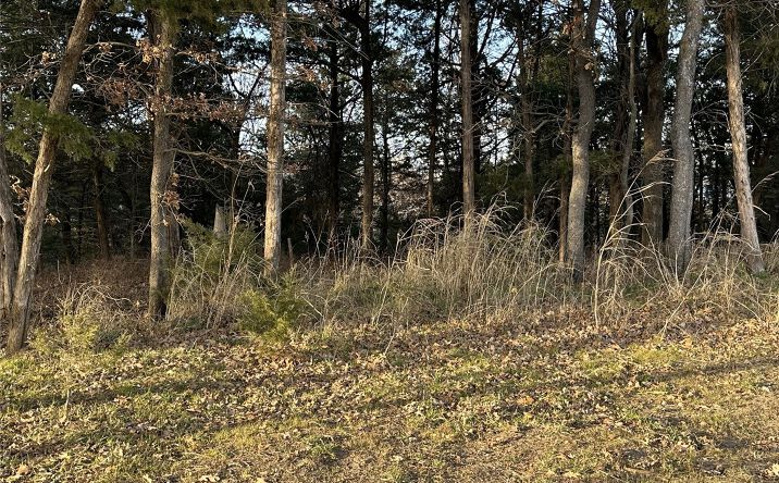 Pictures of Land property located at 1 Sleepy Hollow Drive, Cleveland, OK 74020 for sales - image #1