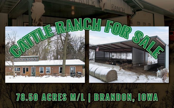 Pictures of Land property located at 3251 Brandon Diagonal Boulevard, Brandon, IA 52210 for sales - image #1