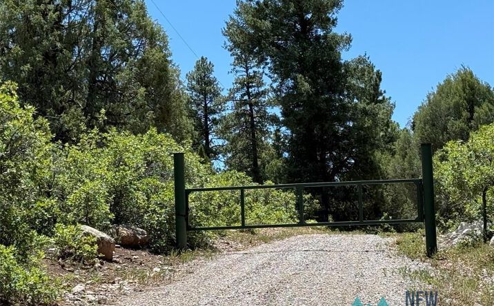 Pictures of Land property located at 381 Buckman Road Drive, Chama, NM 87520 for sales - image #1