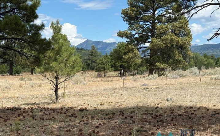 Pictures of Land property located at Thistle Loop Drive, Chama, NM 87520 for sales - image #1