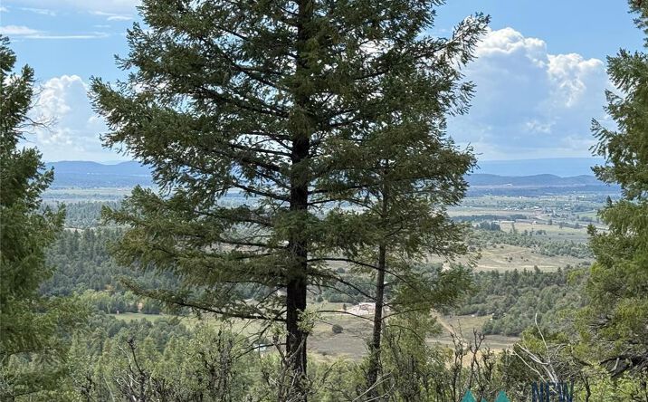 Pictures of Land property located at 4 Unit 4 Lakeview Drive, Chama, NM 87520 for sales - image #1