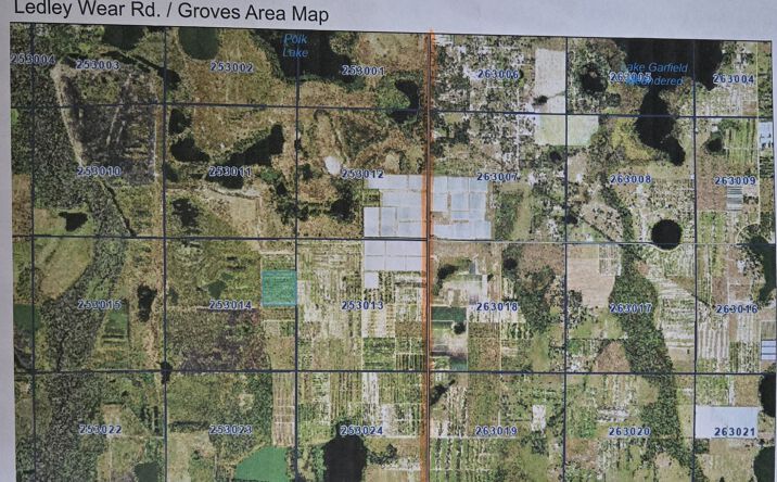 Pictures of Land property located at Ledley Ware Rd, Bartow, FL 33830 for sales - image #1