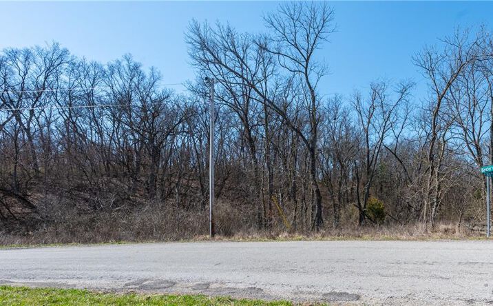 Pictures of Land, Special Purpose, Multifamily property located at 16018 Baxter Road, Excelsior Springs, MO 64024 for sales - image #1