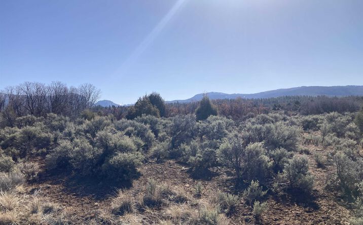 Pictures of Land property located at TBD Tierra Grande 16 43 44 45, Ensendada, NM 87575 for sales - image #1