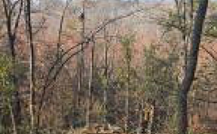 Pictures of Land property located at 000 Atomic Road, Beech Island, SC 29842 for sales - image #1
