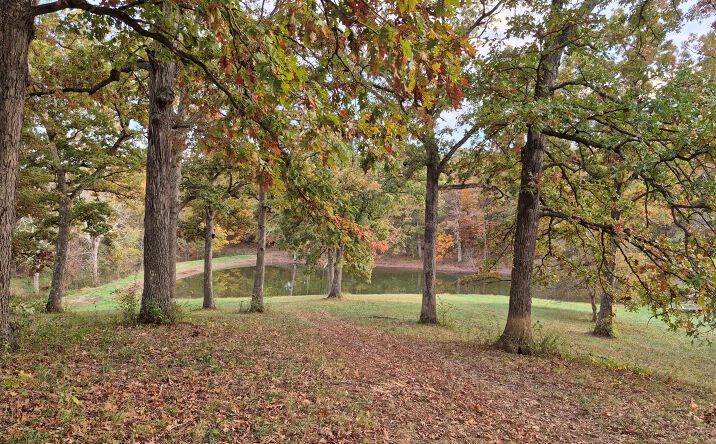 Pictures of Land property located at State Hwy D, Eolia, MO 63344 for sales - image #1