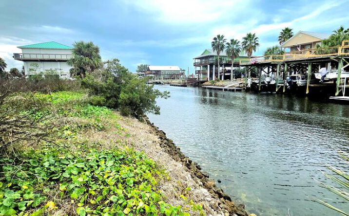 Pictures of Land property located at 20445 Ponce De Leon, Perry, FL 32348 for sales - image #1