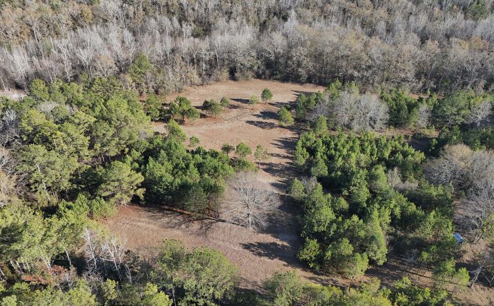 Pictures of Land property located at Co Rd 49, Tuskegee, AL 36083 for sales - image #1