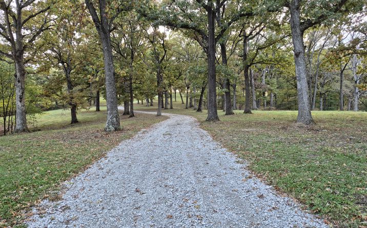 Pictures of Land property located at State Highway D, Eolia, Eolia, MO 63344 for sales - image #1