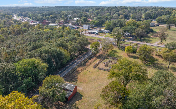 Pictures of Land property located at TBD FM Road 16, Winona, TX 75792 for sales - image #1